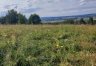 działka na sprzedaż - Gdów, Jaroszówka zdjecie5
