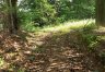 działka na sprzedaż - Gdów, Jaroszówka zdjecie6