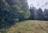 parcel for sale - Gdów, Jaroszówka zdjecie1