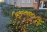 mieszkanie na sprzedaż - Kraków, Krowodrza, Zdrowa zdjecie10