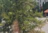mieszkanie na sprzedaż - Kraków, Mistrzejowice, Bohaterów Września zdjecie10