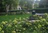 mieszkanie na sprzedaż - Kraków, Krowodrza, Litewska zdjecie16